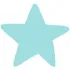 A light blue star on a white background.