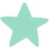 A mint green star on a white background.