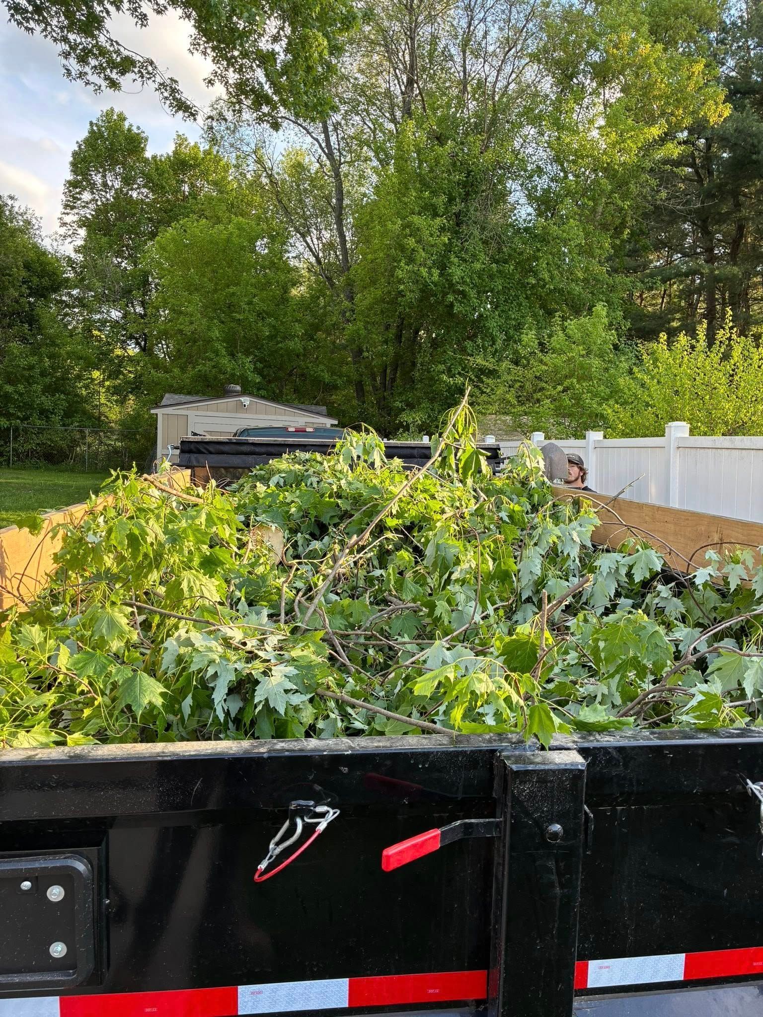 Black trailer loaded with cut leafy branches in a sunny yard, with trees and a white fence behind.