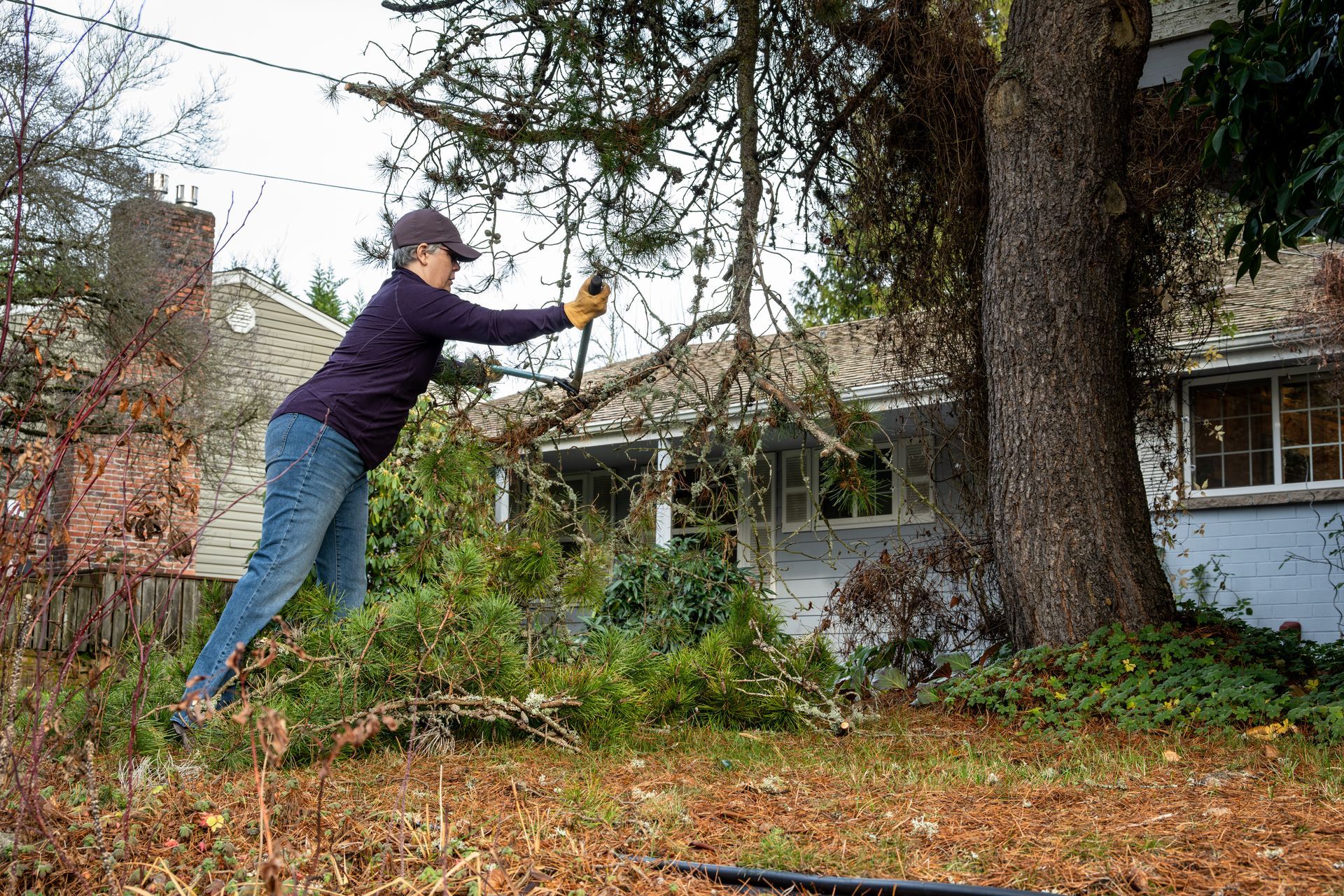 Person in dark clothes throws a ball or object in a backyard with a large tree and house.