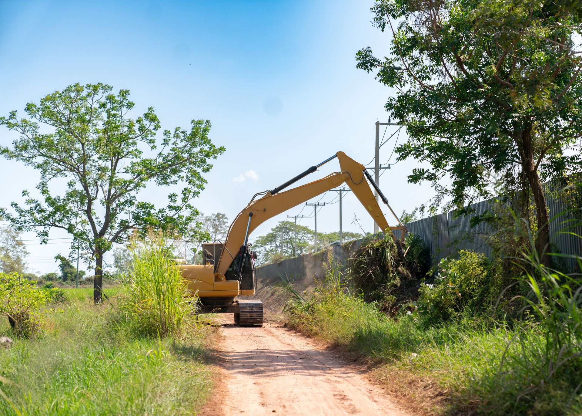 Excavator clearing brush beside a dirt road in a rural area with trees and shrubs