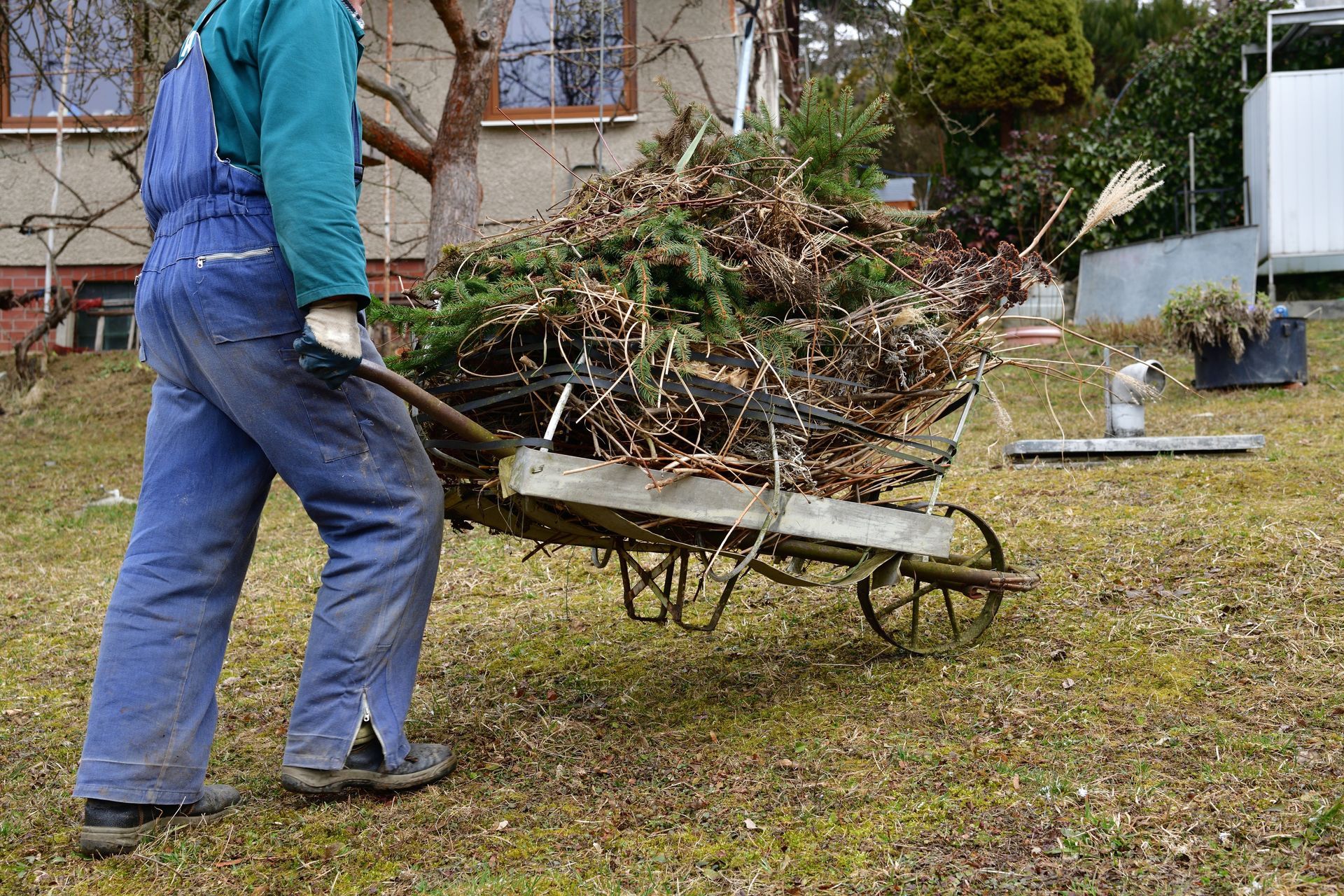 Person in blue overalls pushes a wheelbarrow piled high with yard debris across a grassy yard.