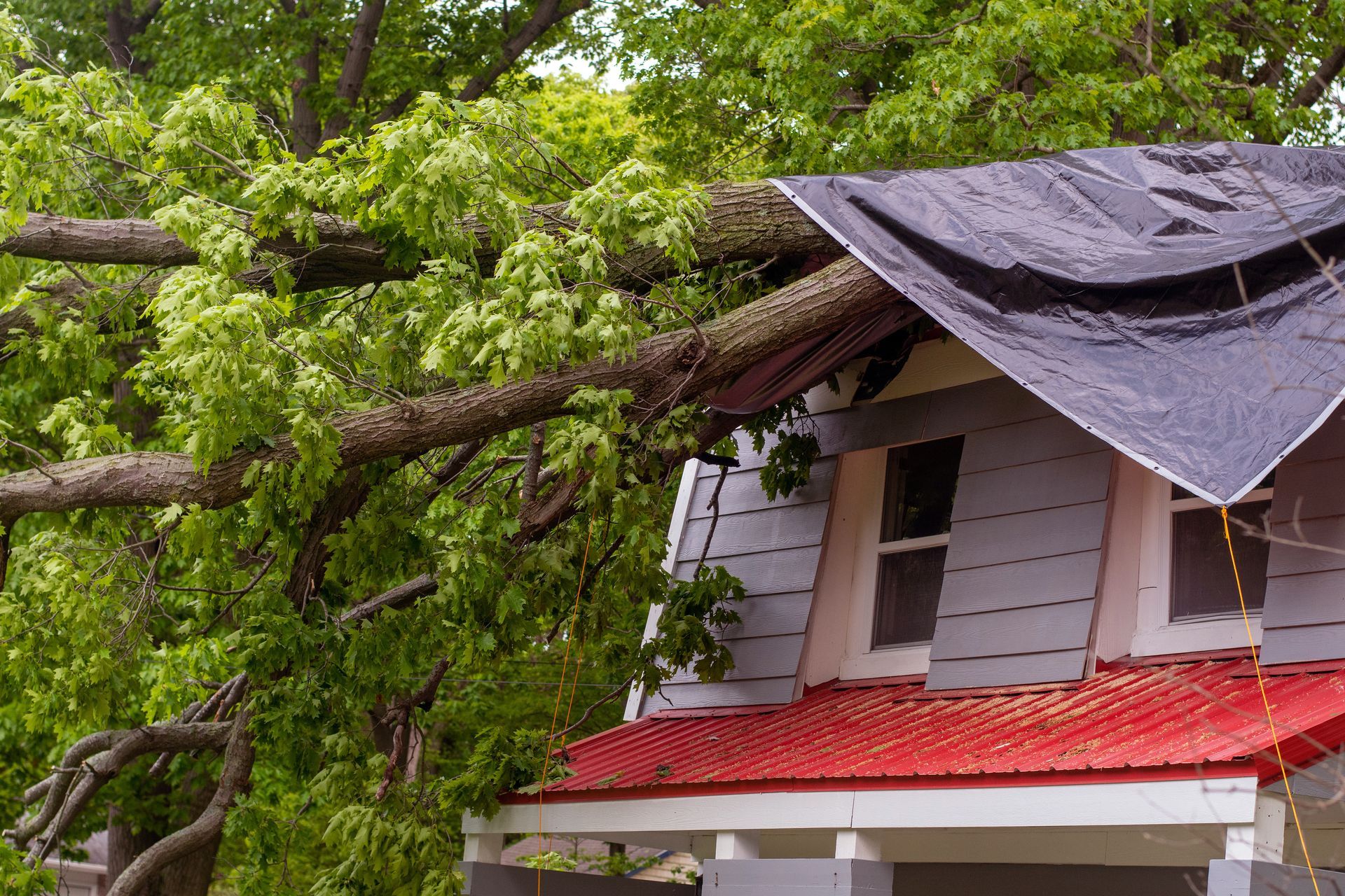 Tree fallen onto a house roof with damaged shingles and a partially collapsed overhang