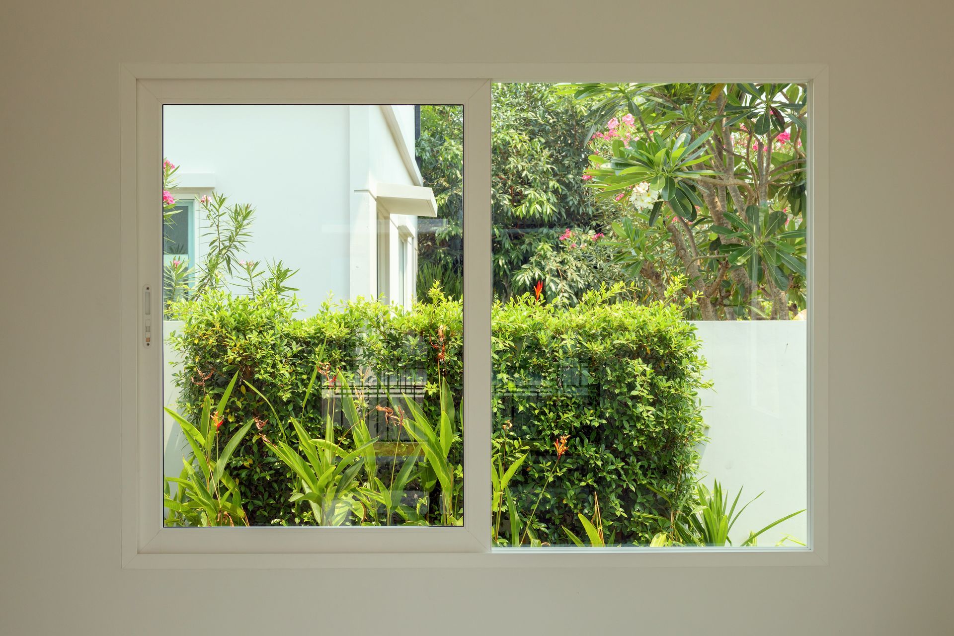 A window with a view of a garden and a house.