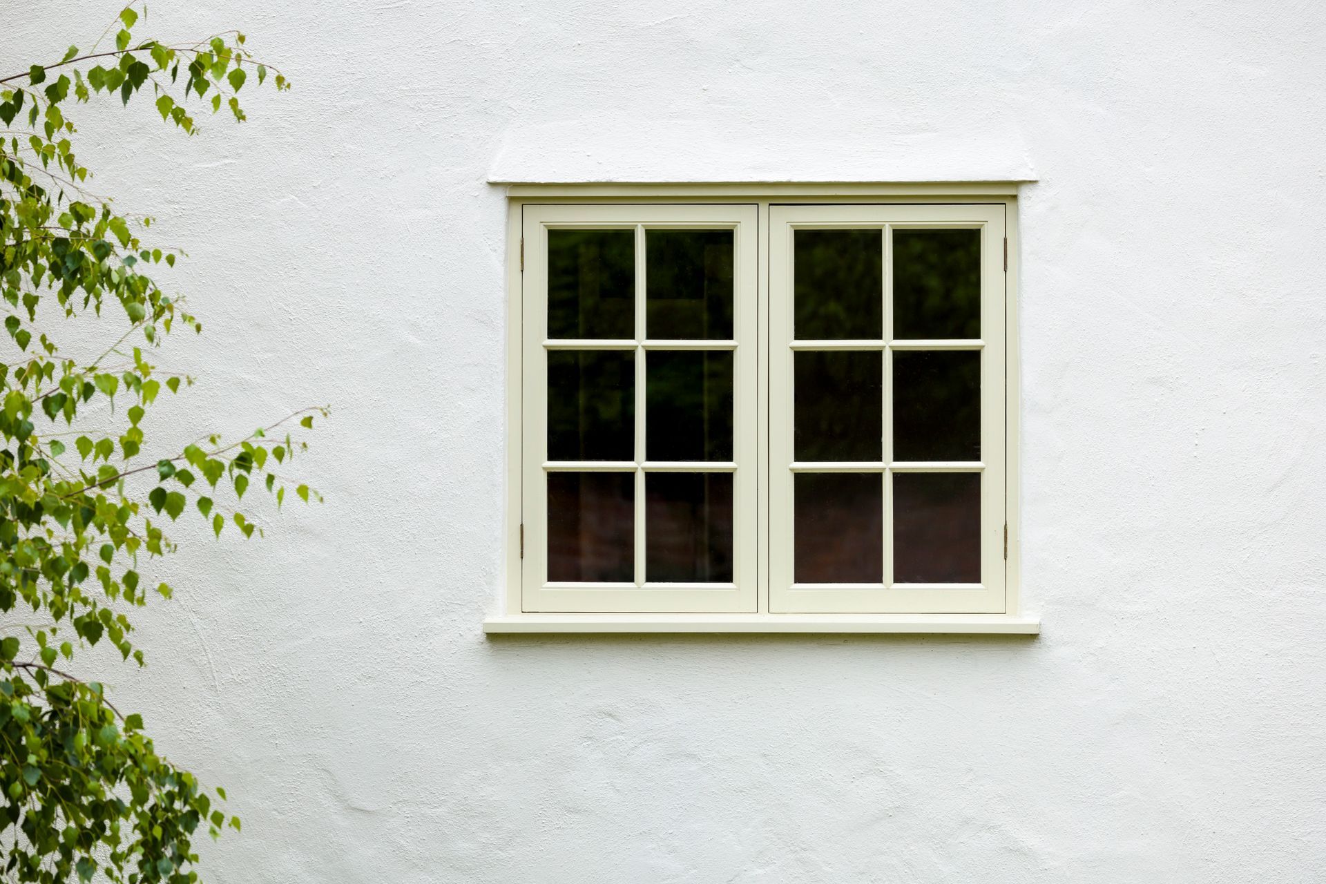 A white window on a white wall next to a tree