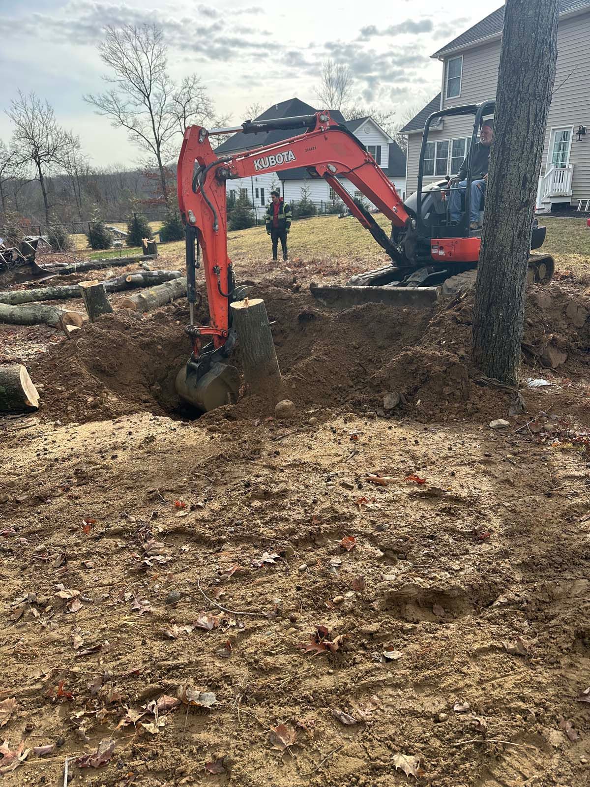 An orange excavator digging a hole next to a tree in a yard with a person standing nearby.