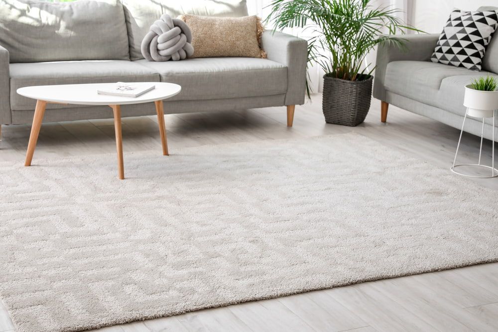 A Living Room With A Couch, Table, And Rug — Alice Springs Carpet Cleaning In Alice Springs, NT