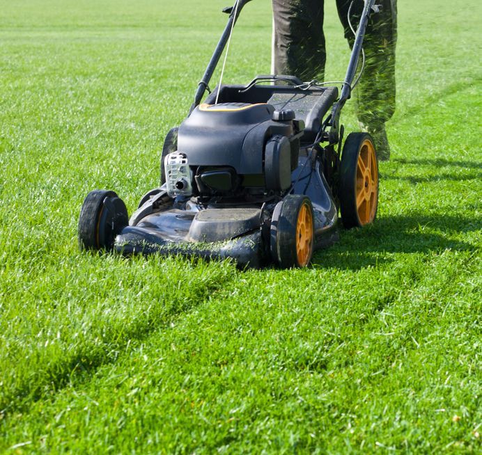 A Blue Carpet Cleaner With a Blue Handle on a White Background — Alice Springs Carpet Cleaning In Alice Springs, NT