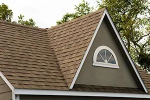 Brown shingled roof with a white-trimmed triangle gable. Includes an arched window.