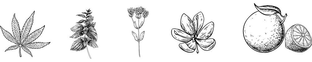 Ingredienti liquore icone