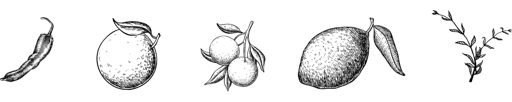 Ingredienti liquore icone