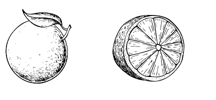 Ingredienti liquore icone