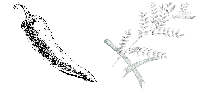 Ingredienti liquore icone