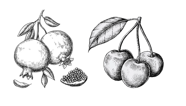 Ingredienti liquore icone