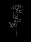 icona cannella