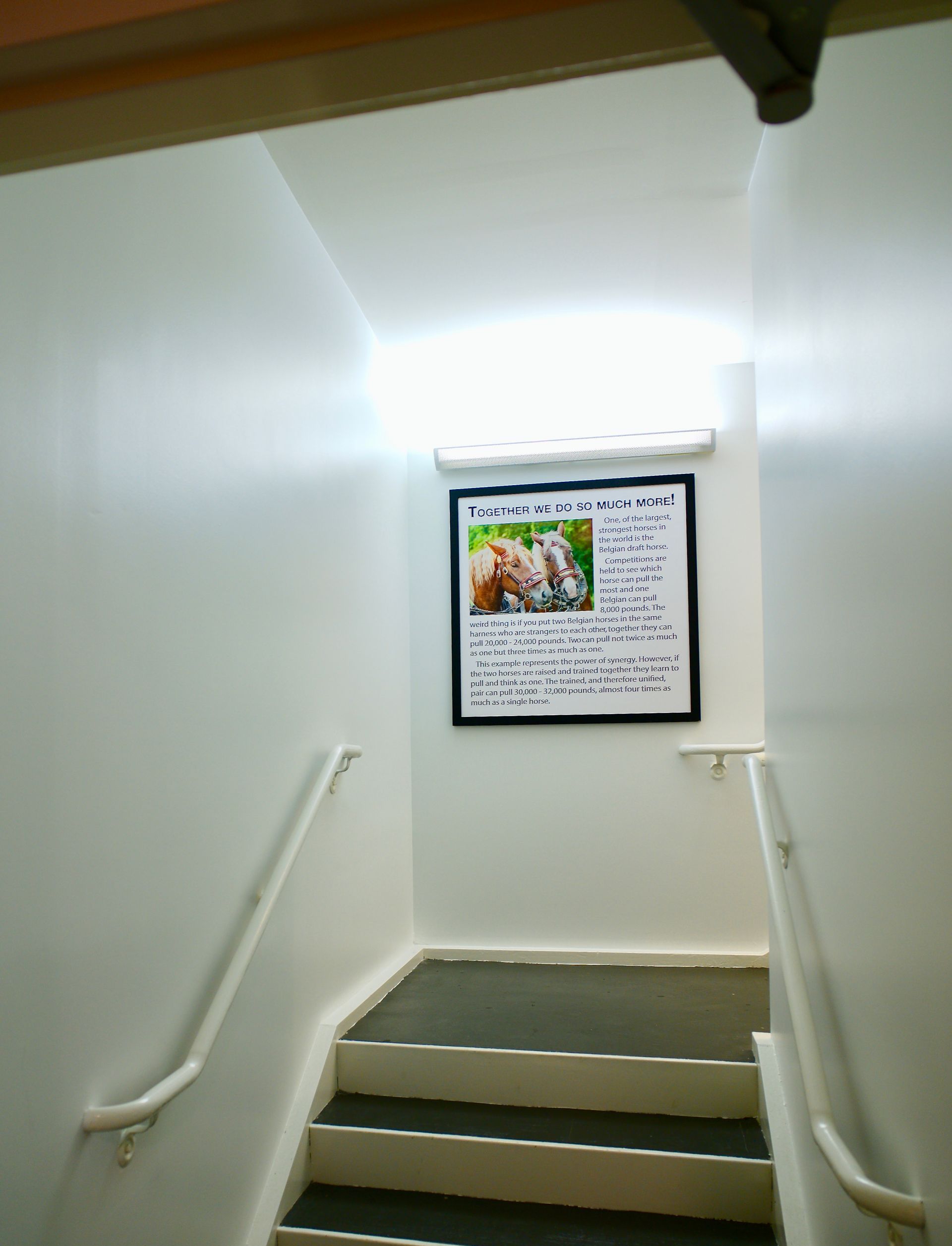 A picture of a horse is hanging on the wall above the stairs