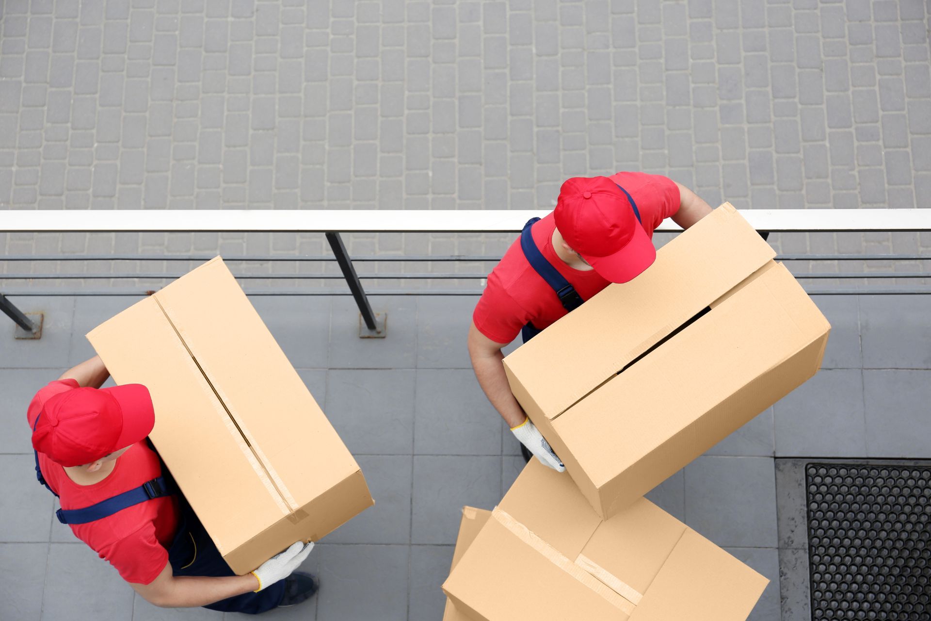 Traslocatori e trasportatori