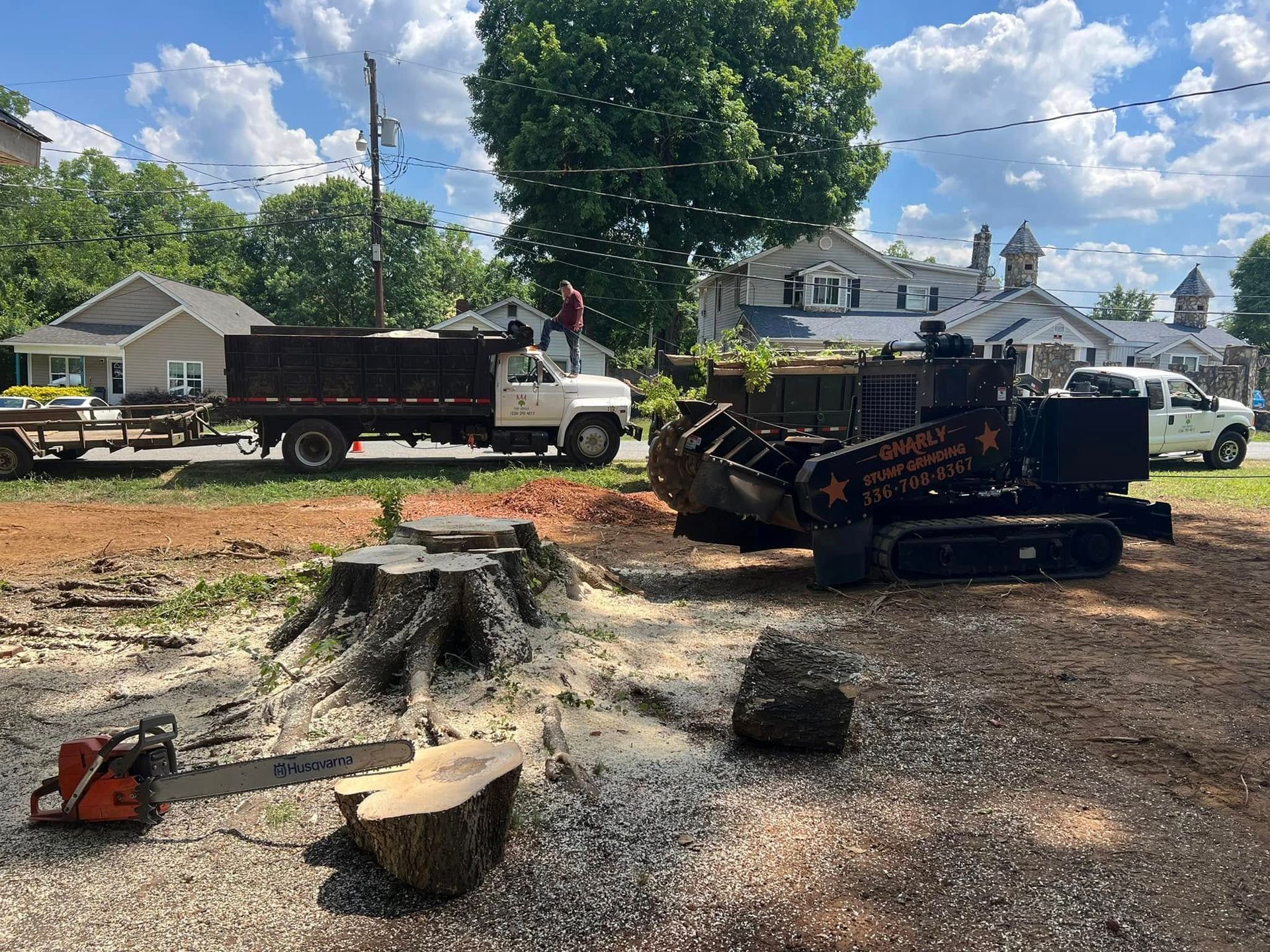 A large tree stump is being cut down with a chainsaw.