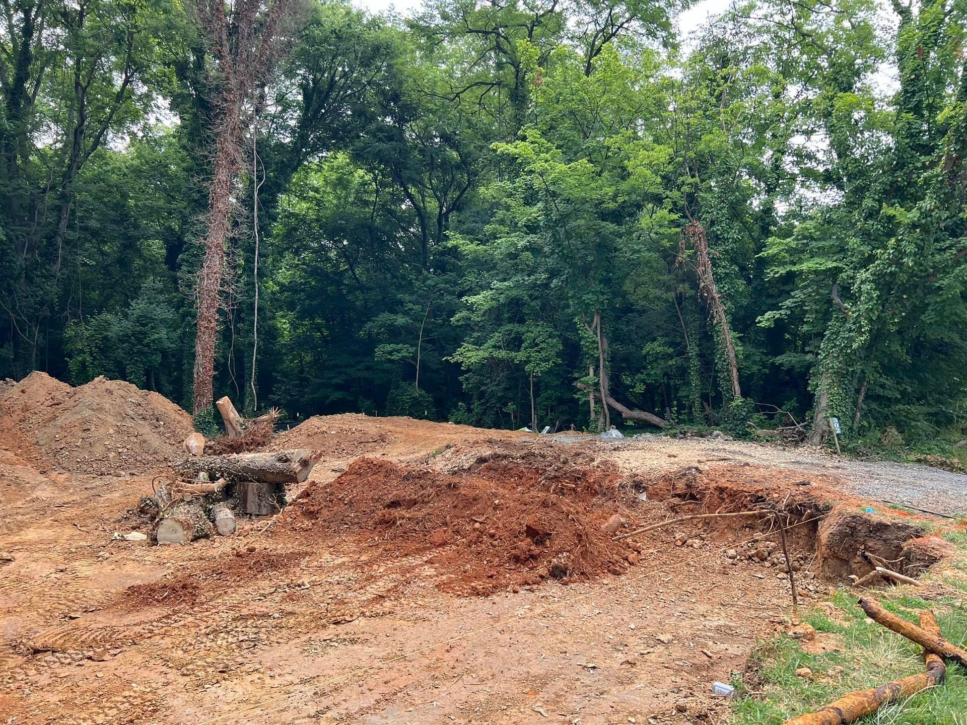 A pile of dirt is sitting in the middle of a forest.
