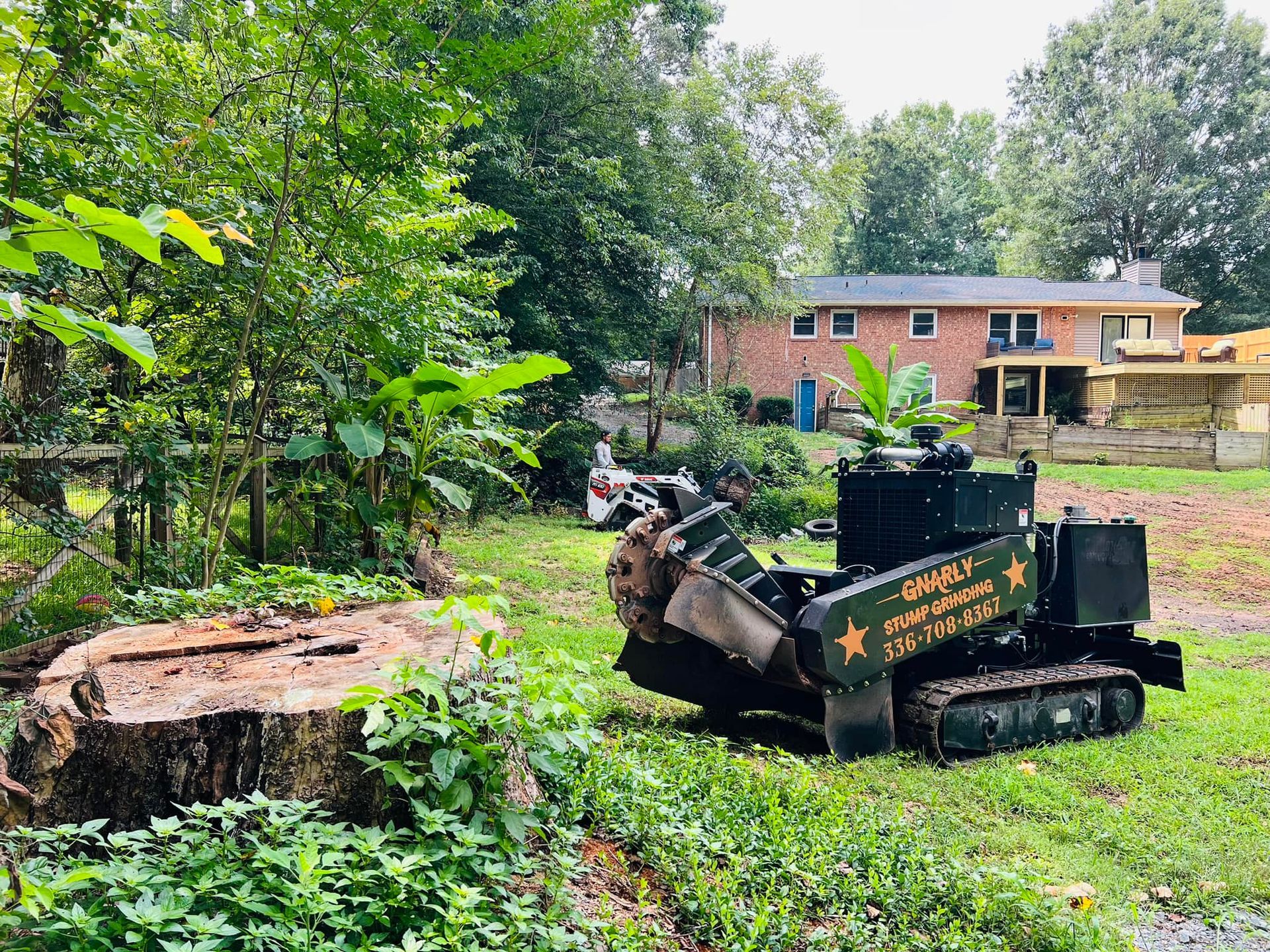 A stump grinder is sitting next to a large tree stump in a yard.