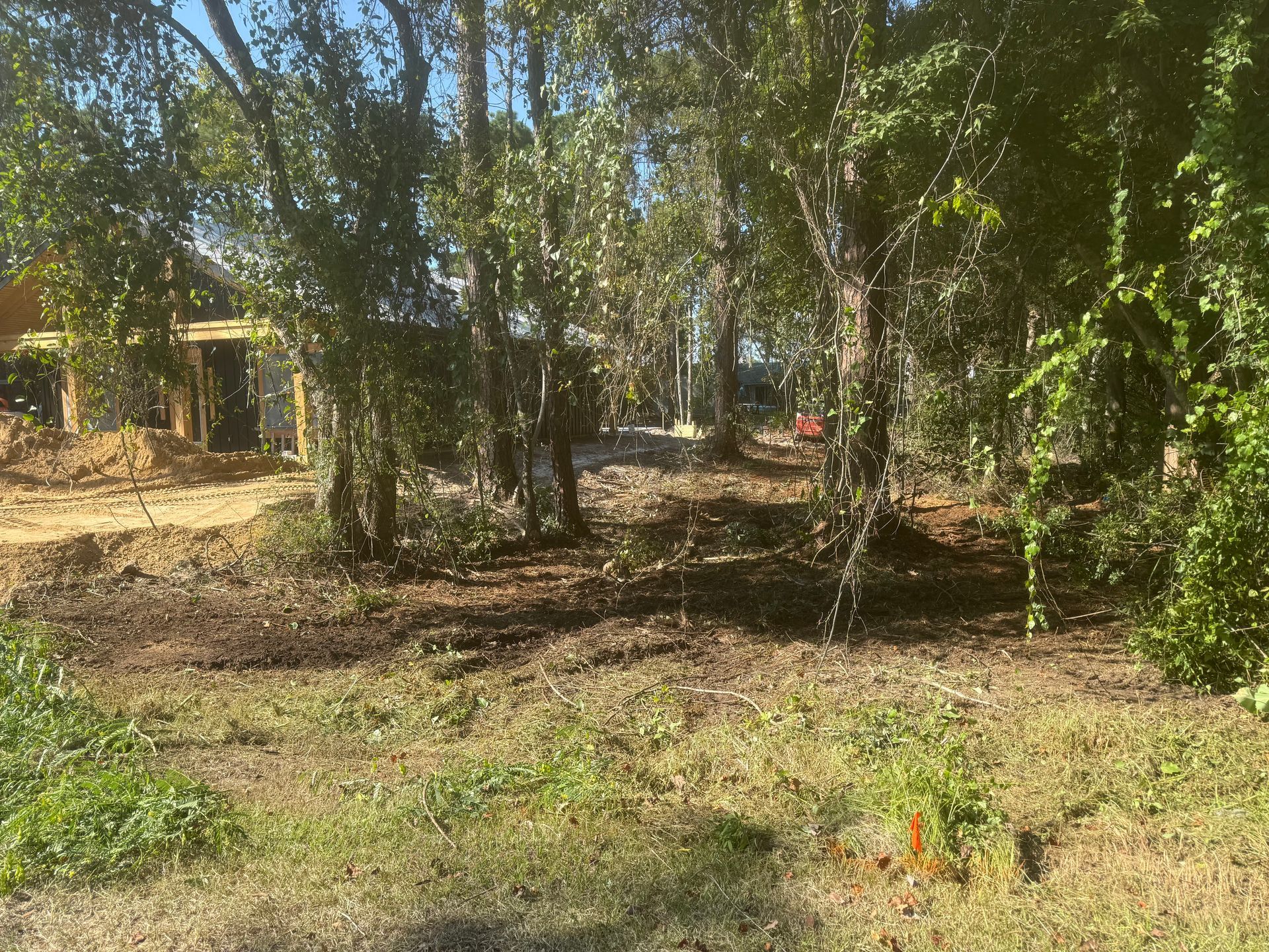 Trees and grassy area with construction in the background under a bright blue sky.