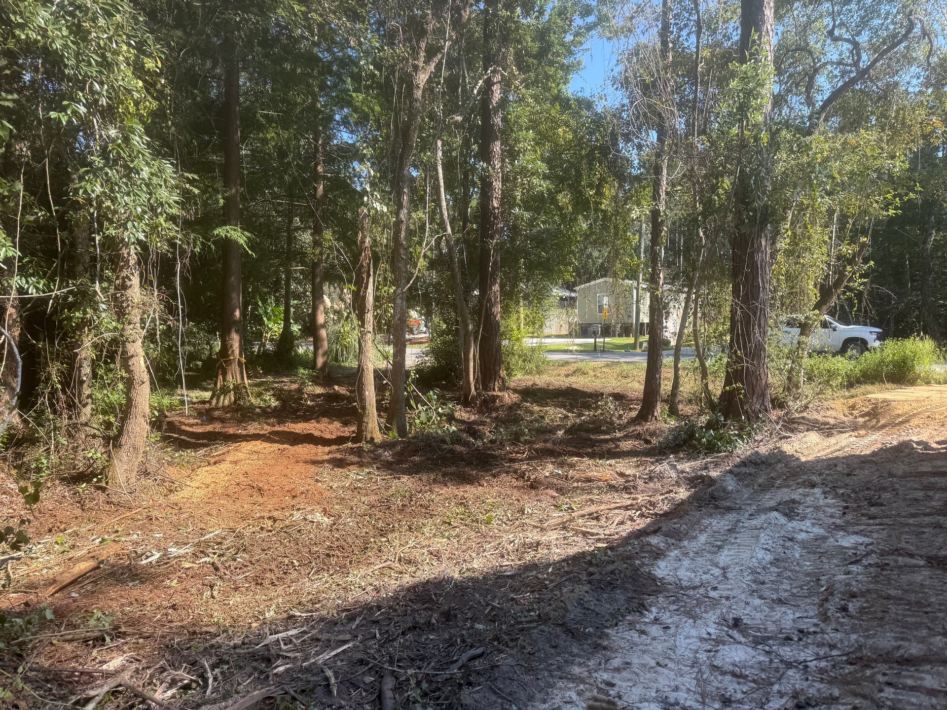 A partially cleared lot with trees in the background. Dirt and debris in the foreground.