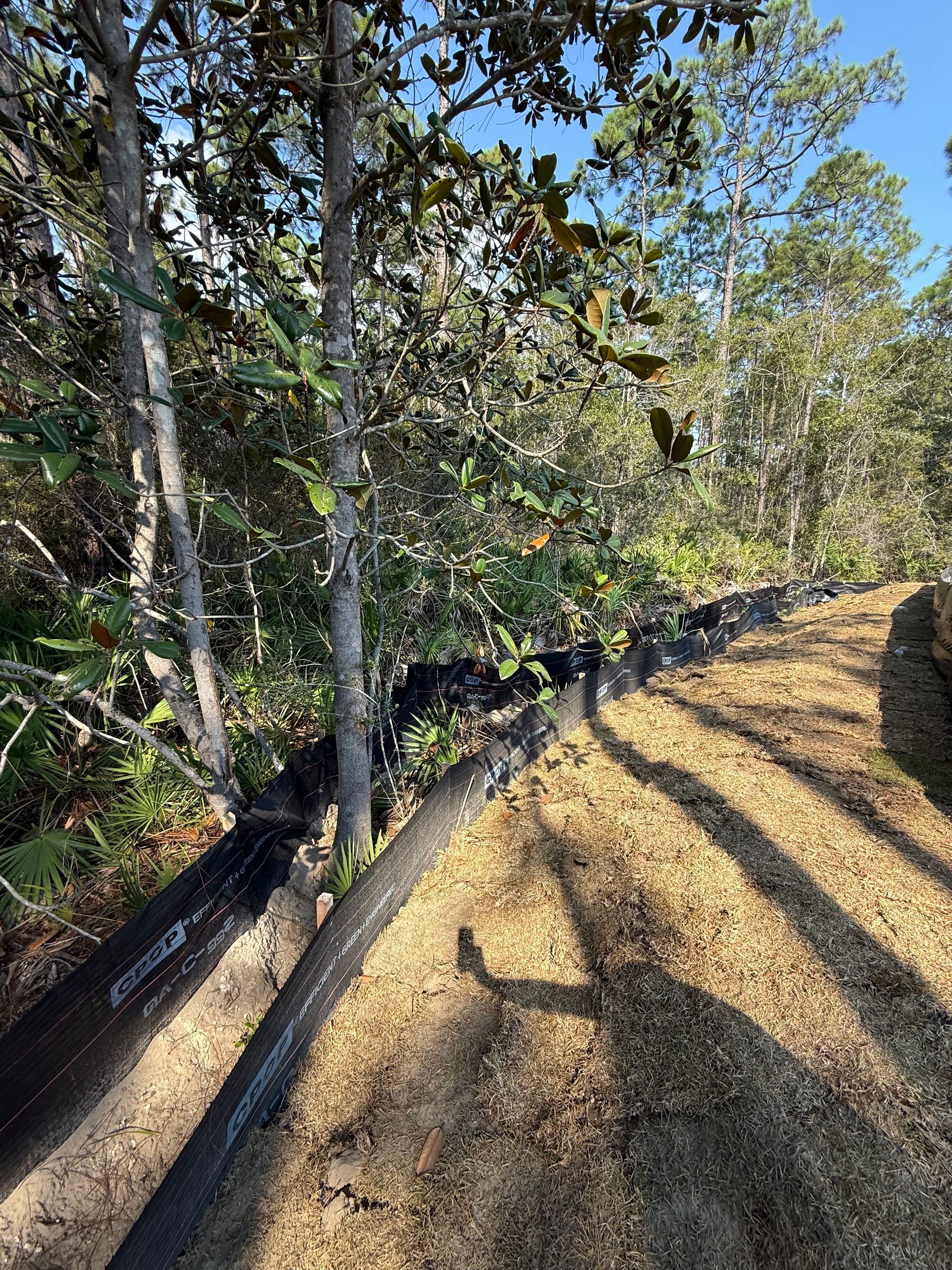 A worn wooden fence bordering a path covered in light-brown wood chips. Trees and foliage in the background.