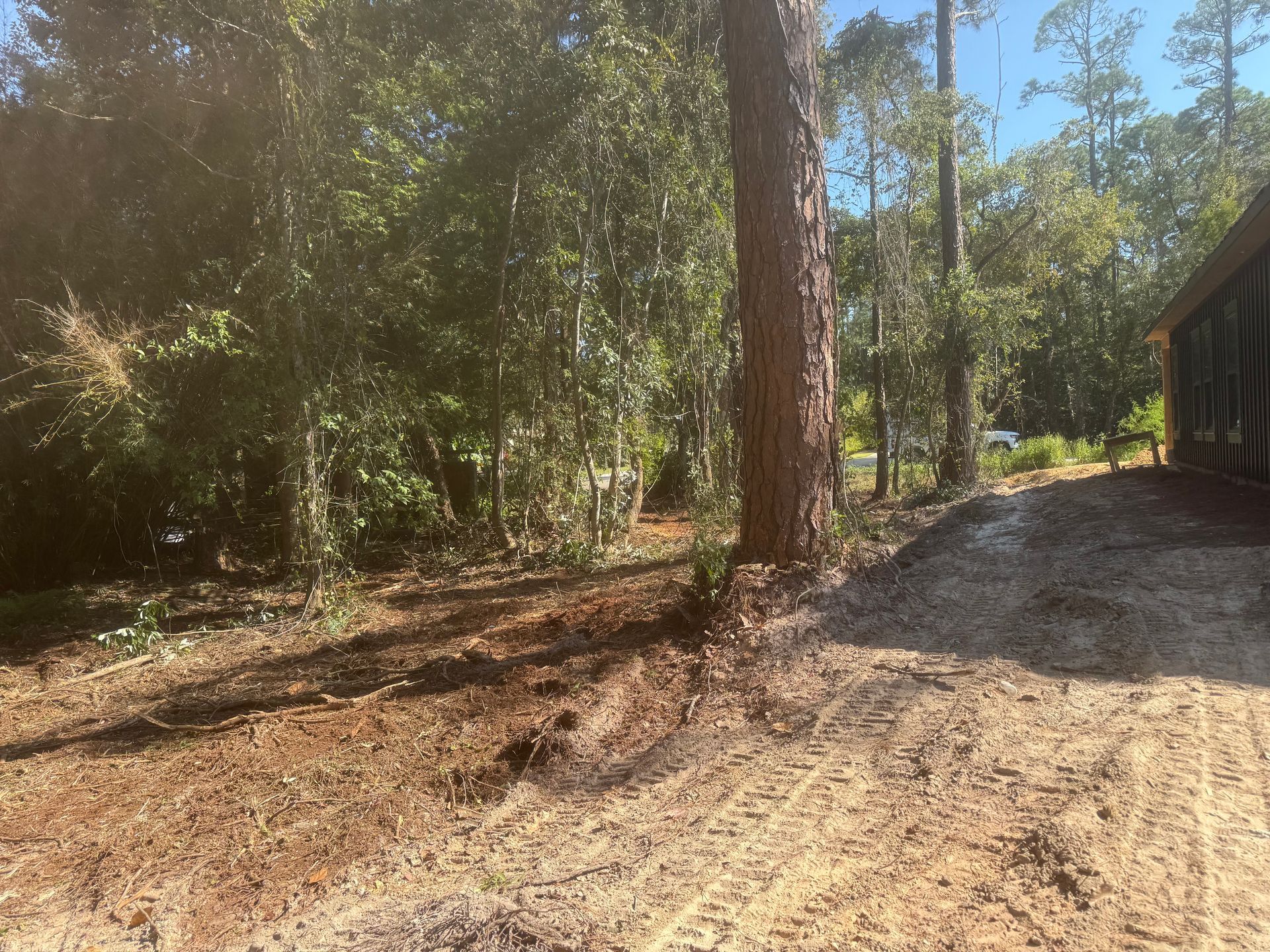 Dirt path leading into a wooded area; brown, green, and blue hues.