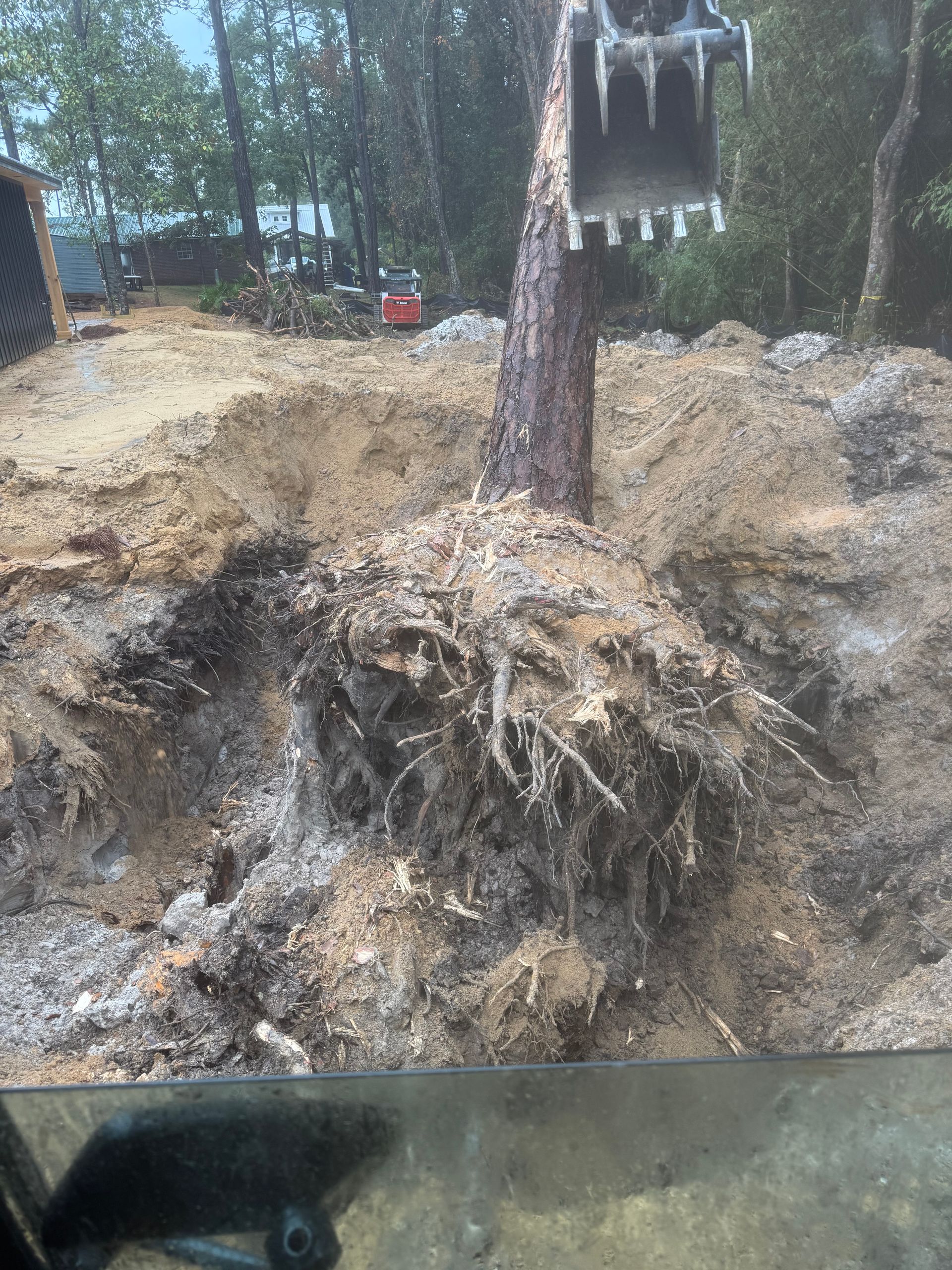 An excavator uproots a tree in a dirt pit. The tree's roots are visible.