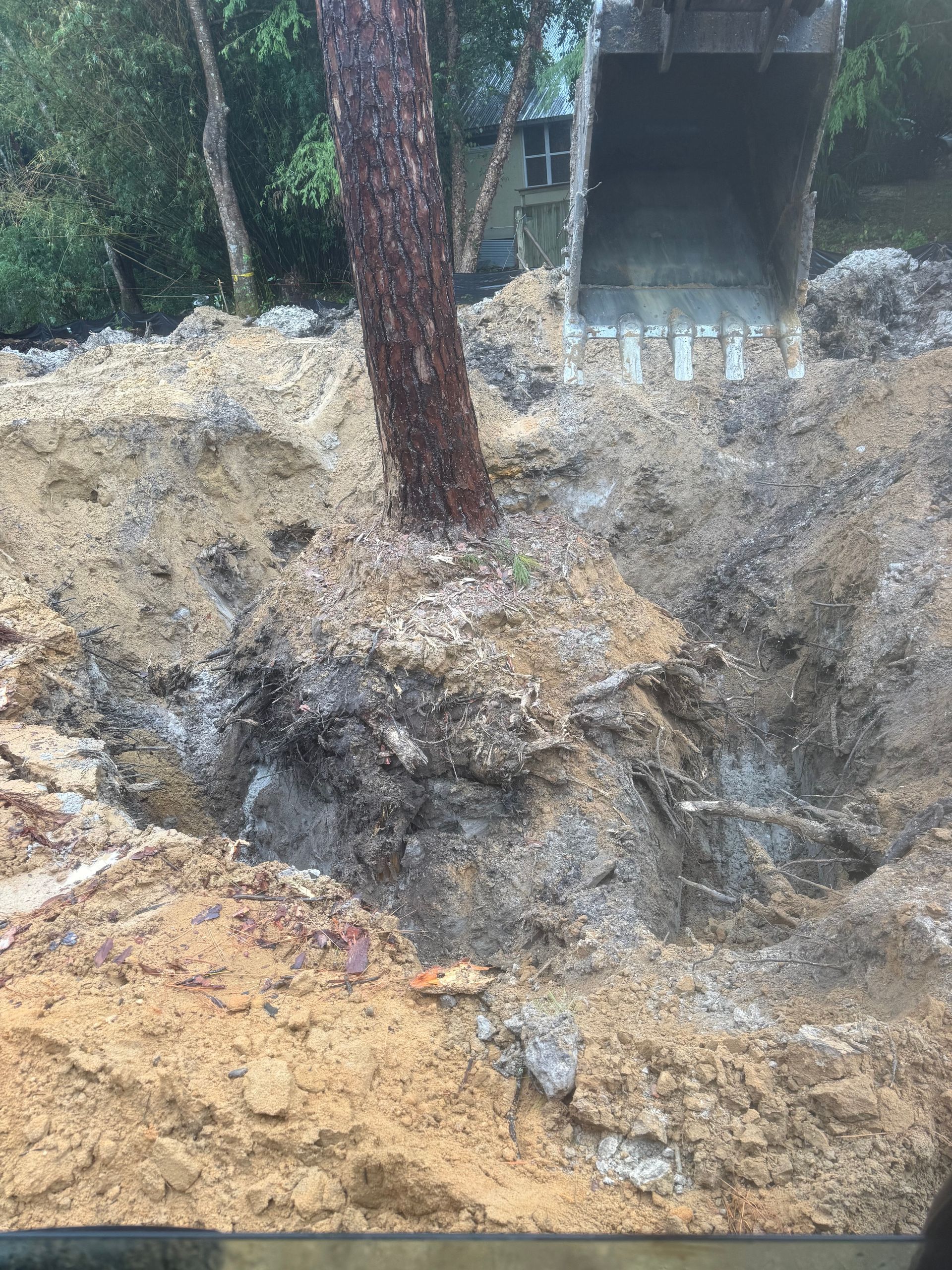 A tree trunk surrounded by exposed roots and soil in a construction site, with a backhoe in the background.