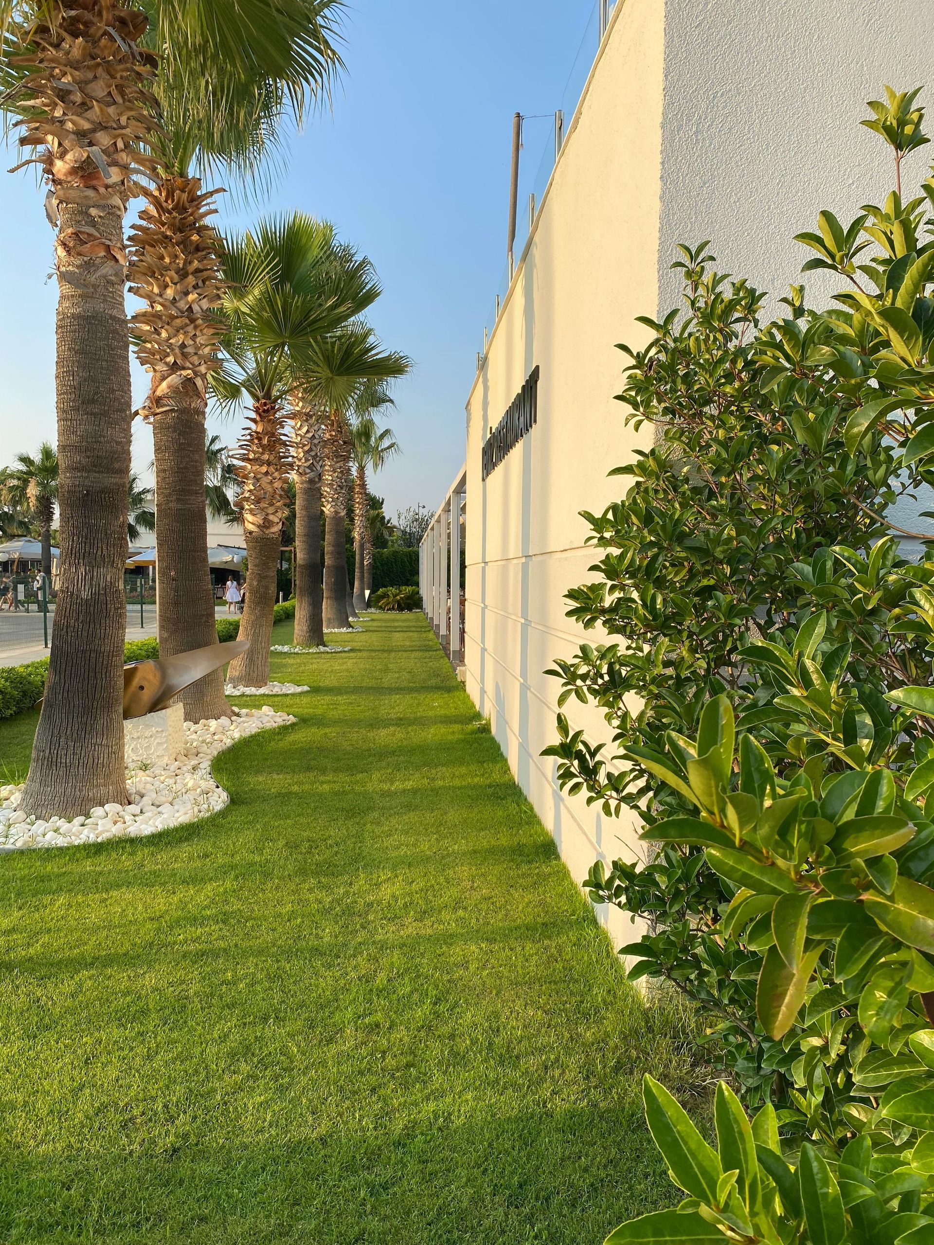 Coastal Florida landscape with palm trees and tropical plants along waterfront property.