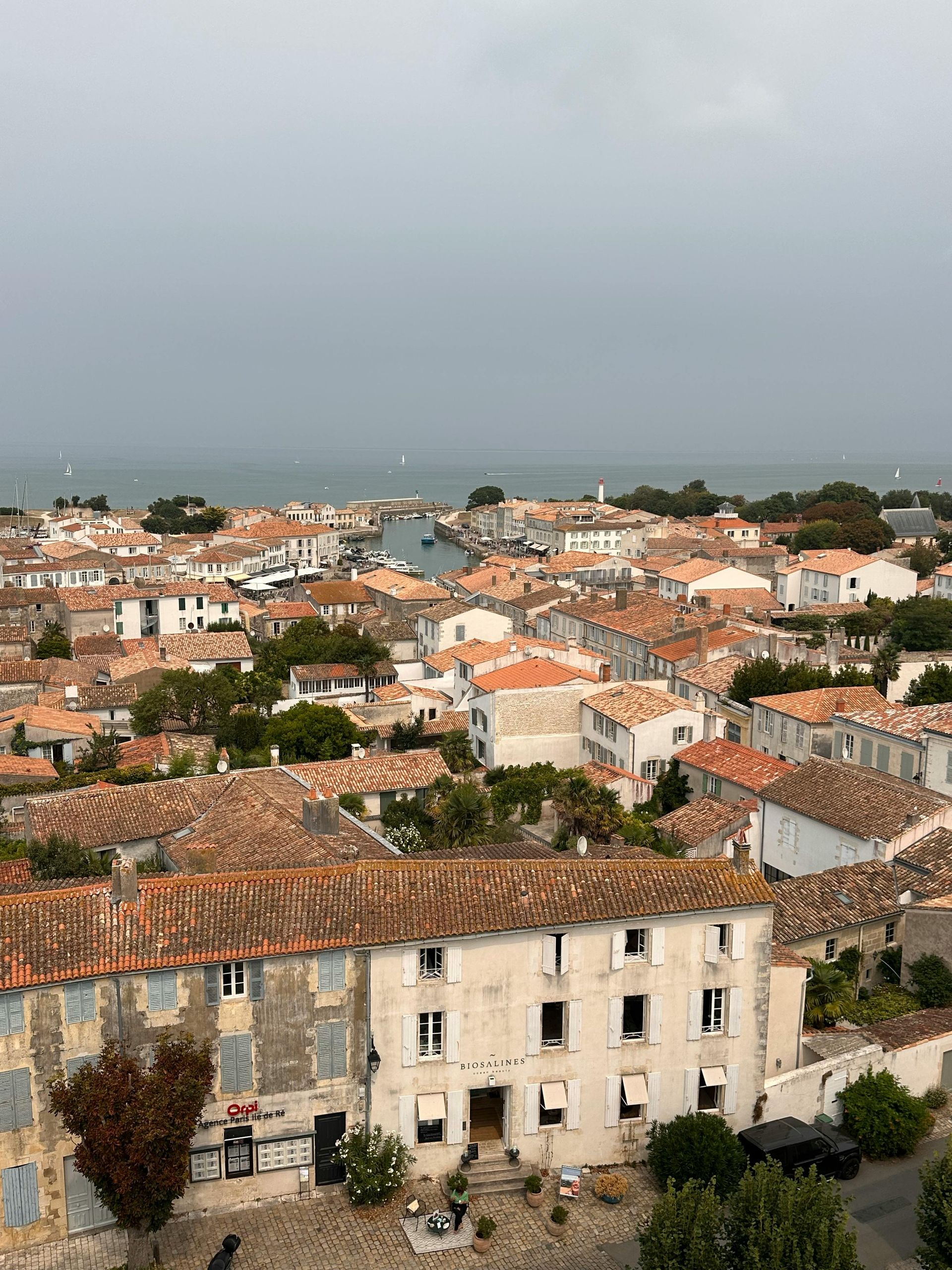 Coastal landscape with light-colored pavers, dune plants, and a clean beach-inspired outdoor design