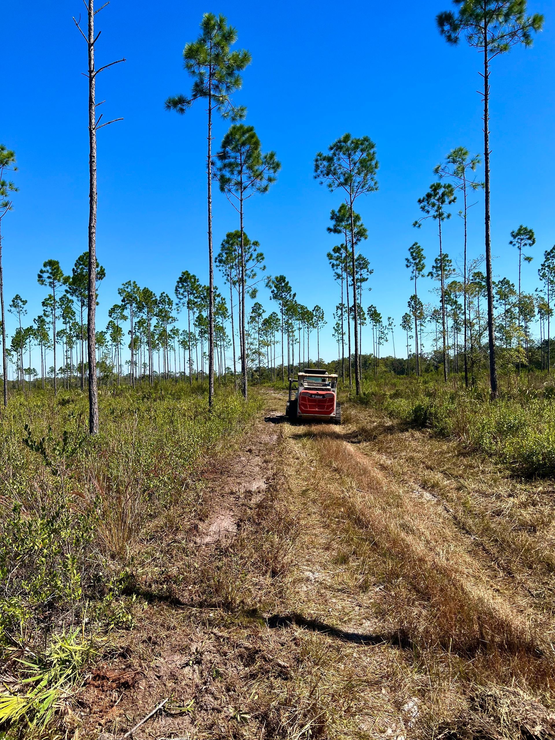 A red truck is driving down a dirt road surrounded by trees