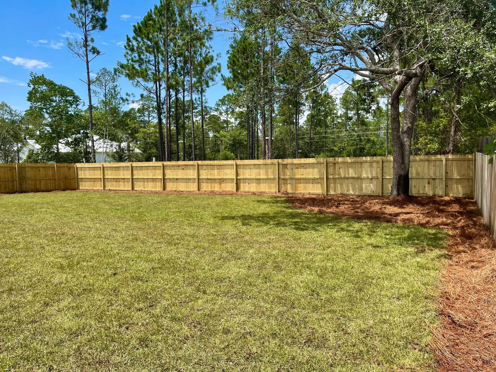A large lawn with a wooden fence and trees in the background.