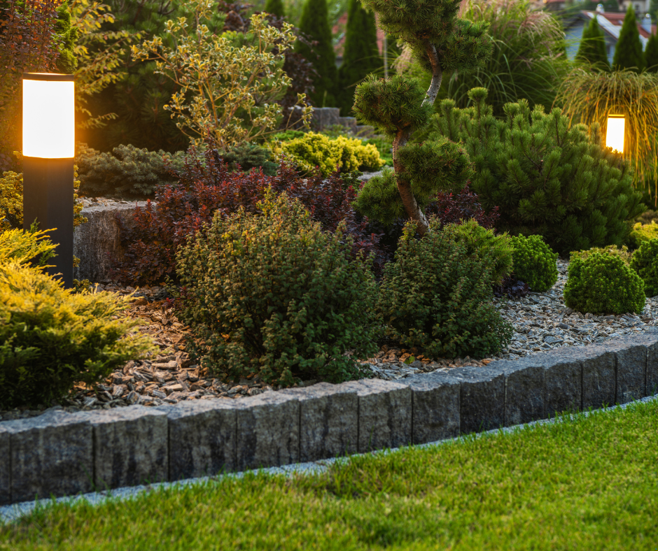 A garden with lots of plants and lights.