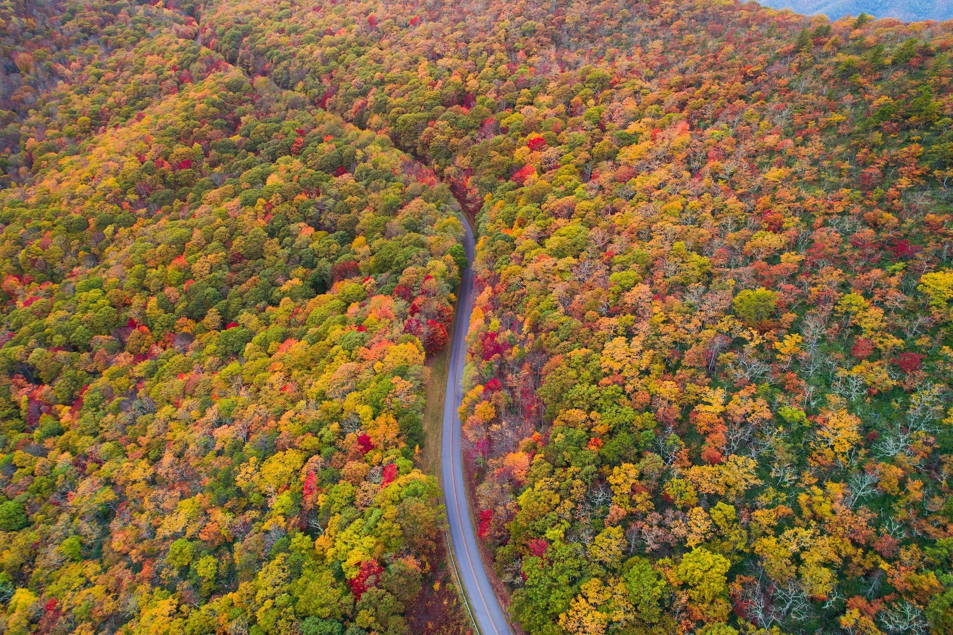 blue-ridge-parkway-in-fall