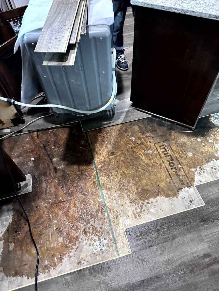 Superb Restoration, Omaha NE, Elkhorn Omaha NE, Fairacres Omaha NE, Old Loveland Omaha NE, Dundee-Happy Hollow Historic District Omaha NE, Lincoln NE, Downtown Lincoln NE, Sunrise Hills Lincoln NE, Westside Omaha NE, Fremont NE, Bellevue NE, La Vista NE, Gretna NE, Papillion NE, Ralston NE, Ashland NE, Waverly NE, Valley NE, Bennington NE, Restoration Company Near Me, Damage Restoration Company, Water Damage Restoration, Residential Water Damage Restoration, Commercial Water Damage Restoration, Omaha Water Damage Restoration, Lincoln Water Damage Restoration, Fremont Water Damage Restoration, Bellevue Water Damage Restoration, La Vista Water Damage Restoration, Gretna Water Damage Restoration, Papillion Water Damage Restoration, Ralston Water Damage Restoration, Ashland Water Damage Restoration, Waverly Water Damage Restoration, Valley Water Damage Restoration, Bennington Water Damage Restoration, Mold Mitigation, Residential Mold Mitigation, Commercial Mold Mitigation, Omaha Mold Restoration, Lincoln Mold Restoration, Fremont Mold Restoration, Bellevue Mold Restoration, La Vista Mold Restoration, Gretna Mold Restoration, Papillion Mold Restoration, Ralston Mold Restoration, Ashland Mold Restoration, Waverly Mold Restoration, Valley Mold Restoration, Bennington Mold Restoration, Fire Damage Restoration, Remodeling Company, Remodeling Company Near Me, Remodelers Near Me, Residential Kitchen Remodeling, Commercial Kitchen Remodeling, Kitchen Remodeling, Omaha Kitchen Remodelers, Lincoln Kitchen Remodelers, Fremont Kitchen Remodelers, Bellevue Kitchen Remodelers, La Vista Kitchen Remodelers, Gretna Kitchen Remodelers, Papillion Kitchen Remodelers, Ralston Kitchen Remodelers, Ashland Kitchen Remodelers, Waverly Kitchen Remodelers, Valley Kitchen Remodelers, Bennington Kitchen Remodelers, Residential Bathroom Remodeling, Commercial Bathroom Remodeling, Bathroom Remodeling, Omaha Bathroom Remodelers, Lincoln Bathroom Remodelers, Fremont Bathroom Remodelers, Bellevue Bathroom Remodelers, La Vista Bathroom Remodelers, Gretna Bathroom Remodelers, Papillion Bathroom Remodelers, Ralston Bathroom Remodelers, Ashland Bathroom Remodelers, Waverly Bathroom Remodelers, Valley Bathroom Remodelers, Bennington Bathroom Remodelers, Tilework Bathroom Remodelers, Drywall Installation, Drywall Repairs, Drywall Patchwork, Painting, Interior Painting, Exterior Painting, Flooring Company Near Me, Residential Flooring Company, Commercial Flooring Company, Omaha Flooring Company, Lincoln Flooring Company, Fremont Flooring Company, Bellevue Flooring Company, La Vista Flooring Company, Gretna Flooring Company, Papillion Flooring Company, Ralston Flooring Company, Ashland Flooring Company, Waverly Flooring Company, Valley Flooring Company, Bennington Flooring Company, Flooring Installation, Hardwood Flooring Installation, Vinyl Flooring Installation, Laminate Flooring Installation, LVP Flooring Installation, Flooring Repairs