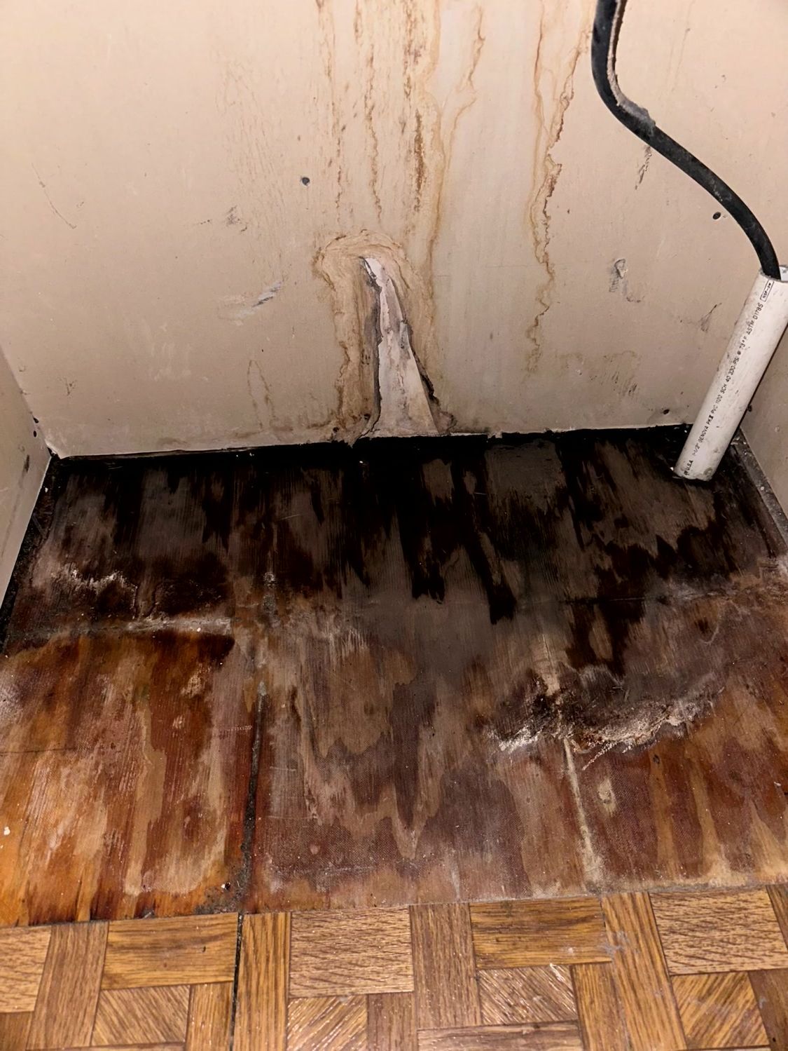 Superb Restoration, Omaha NE, Elkhorn Omaha NE, Fairacres Omaha NE, Old Loveland Omaha NE, Dundee-Happy Hollow Historic District Omaha NE, Lincoln NE, Downtown Lincoln NE, Sunrise Hills Lincoln NE, Westside Omaha NE, Fremont NE, Bellevue NE, La Vista NE, Gretna NE, Papillion NE, Ralston NE, Ashland NE, Waverly NE, Valley NE, Bennington NE, Restoration Company Near Me, Damage Restoration Company, Water Damage Restoration, Residential Water Damage Restoration, Commercial Water Damage Restoration, Omaha Water Damage Restoration, Lincoln Water Damage Restoration, Fremont Water Damage Restoration, Bellevue Water Damage Restoration, La Vista Water Damage Restoration, Gretna Water Damage Restoration, Papillion Water Damage Restoration, Ralston Water Damage Restoration, Ashland Water Damage Restoration, Waverly Water Damage Restoration, Valley Water Damage Restoration, Bennington Water Damage Restoration, Mold Mitigation, Residential Mold Mitigation, Commercial Mold Mitigation, Omaha Mold Restoration, Lincoln Mold Restoration, Fremont Mold Restoration, Bellevue Mold Restoration, La Vista Mold Restoration, Gretna Mold Restoration, Papillion Mold Restoration, Ralston Mold Restoration, Ashland Mold Restoration, Waverly Mold Restoration, Valley Mold Restoration, Bennington Mold Restoration, Fire Damage Restoration, Remodeling Company, Remodeling Company Near Me, Remodelers Near Me, Residential Kitchen Remodeling, Commercial Kitchen Remodeling, Kitchen Remodeling, Omaha Kitchen Remodelers, Lincoln Kitchen Remodelers, Fremont Kitchen Remodelers, Bellevue Kitchen Remodelers, La Vista Kitchen Remodelers, Gretna Kitchen Remodelers, Papillion Kitchen Remodelers, Ralston Kitchen Remodelers, Ashland Kitchen Remodelers, Waverly Kitchen Remodelers, Valley Kitchen Remodelers, Bennington Kitchen Remodelers, Residential Bathroom Remodeling, Commercial Bathroom Remodeling, Bathroom Remodeling, Omaha Bathroom Remodelers, Lincoln Bathroom Remodelers, Fremont Bathroom Remodelers, Bellevue Bathroom Remodelers, La Vista Bathroom Remodelers, Gretna Bathroom Remodelers, Papillion Bathroom Remodelers, Ralston Bathroom Remodelers, Ashland Bathroom Remodelers, Waverly Bathroom Remodelers, Valley Bathroom Remodelers, Bennington Bathroom Remodelers, Tilework Bathroom Remodelers, Drywall Installation, Drywall Repairs, Drywall Patchwork, Painting, Interior Painting, Exterior Painting, Flooring Company Near Me, Residential Flooring Company, Commercial Flooring Company, Omaha Flooring Company, Lincoln Flooring Company, Fremont Flooring Company, Bellevue Flooring Company, La Vista Flooring Company, Gretna Flooring Company, Papillion Flooring Company, Ralston Flooring Company, Ashland Flooring Company, Waverly Flooring Company, Valley Flooring Company, Bennington Flooring Company, Flooring Installation, Hardwood Flooring Installation, Vinyl Flooring Installation, Laminate Flooring Installation, LVP Flooring Installation, Flooring Repairs