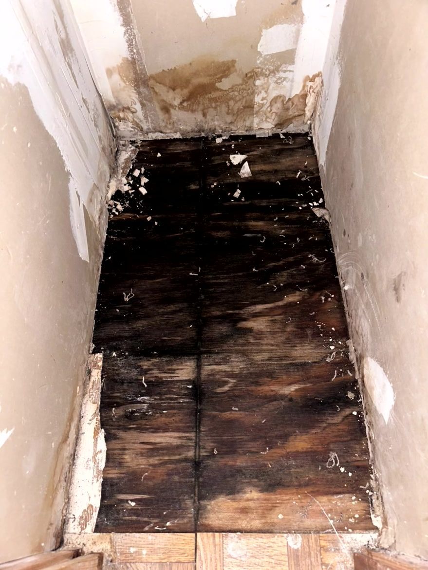 Superb Restoration, Omaha NE, Elkhorn Omaha NE, Fairacres Omaha NE, Old Loveland Omaha NE, Dundee-Happy Hollow Historic District Omaha NE, Lincoln NE, Downtown Lincoln NE, Sunrise Hills Lincoln NE, Westside Omaha NE, Fremont NE, Bellevue NE, La Vista NE, Gretna NE, Papillion NE, Ralston NE, Ashland NE, Waverly NE, Valley NE, Bennington NE, Restoration Company Near Me, Damage Restoration Company, Water Damage Restoration, Residential Water Damage Restoration, Commercial Water Damage Restoration, Omaha Water Damage Restoration, Lincoln Water Damage Restoration, Fremont Water Damage Restoration, Bellevue Water Damage Restoration, La Vista Water Damage Restoration, Gretna Water Damage Restoration, Papillion Water Damage Restoration, Ralston Water Damage Restoration, Ashland Water Damage Restoration, Waverly Water Damage Restoration, Valley Water Damage Restoration, Bennington Water Damage Restoration, Mold Mitigation, Residential Mold Mitigation, Commercial Mold Mitigation, Omaha Mold Restoration, Lincoln Mold Restoration, Fremont Mold Restoration, Bellevue Mold Restoration, La Vista Mold Restoration, Gretna Mold Restoration, Papillion Mold Restoration, Ralston Mold Restoration, Ashland Mold Restoration, Waverly Mold Restoration, Valley Mold Restoration, Bennington Mold Restoration, Fire Damage Restoration, Remodeling Company, Remodeling Company Near Me, Remodelers Near Me, Residential Kitchen Remodeling, Commercial Kitchen Remodeling, Kitchen Remodeling, Omaha Kitchen Remodelers, Lincoln Kitchen Remodelers, Fremont Kitchen Remodelers, Bellevue Kitchen Remodelers, La Vista Kitchen Remodelers, Gretna Kitchen Remodelers, Papillion Kitchen Remodelers, Ralston Kitchen Remodelers, Ashland Kitchen Remodelers, Waverly Kitchen Remodelers, Valley Kitchen Remodelers, Bennington Kitchen Remodelers, Residential Bathroom Remodeling, Commercial Bathroom Remodeling, Bathroom Remodeling, Omaha Bathroom Remodelers, Lincoln Bathroom Remodelers, Fremont Bathroom Remodelers, Bellevue Bathroom Remodelers, La Vista Bathroom Remodelers, Gretna Bathroom Remodelers, Papillion Bathroom Remodelers, Ralston Bathroom Remodelers, Ashland Bathroom Remodelers, Waverly Bathroom Remodelers, Valley Bathroom Remodelers, Bennington Bathroom Remodelers, Tilework Bathroom Remodelers, Drywall Installation, Drywall Repairs, Drywall Patchwork, Painting, Interior Painting, Exterior Painting, Flooring Company Near Me, Residential Flooring Company, Commercial Flooring Company, Omaha Flooring Company, Lincoln Flooring Company, Fremont Flooring Company, Bellevue Flooring Company, La Vista Flooring Company, Gretna Flooring Company, Papillion Flooring Company, Ralston Flooring Company, Ashland Flooring Company, Waverly Flooring Company, Valley Flooring Company, Bennington Flooring Company, Flooring Installation, Hardwood Flooring Installation, Vinyl Flooring Installation, Laminate Flooring Installation, LVP Flooring Installation, Flooring Repairs