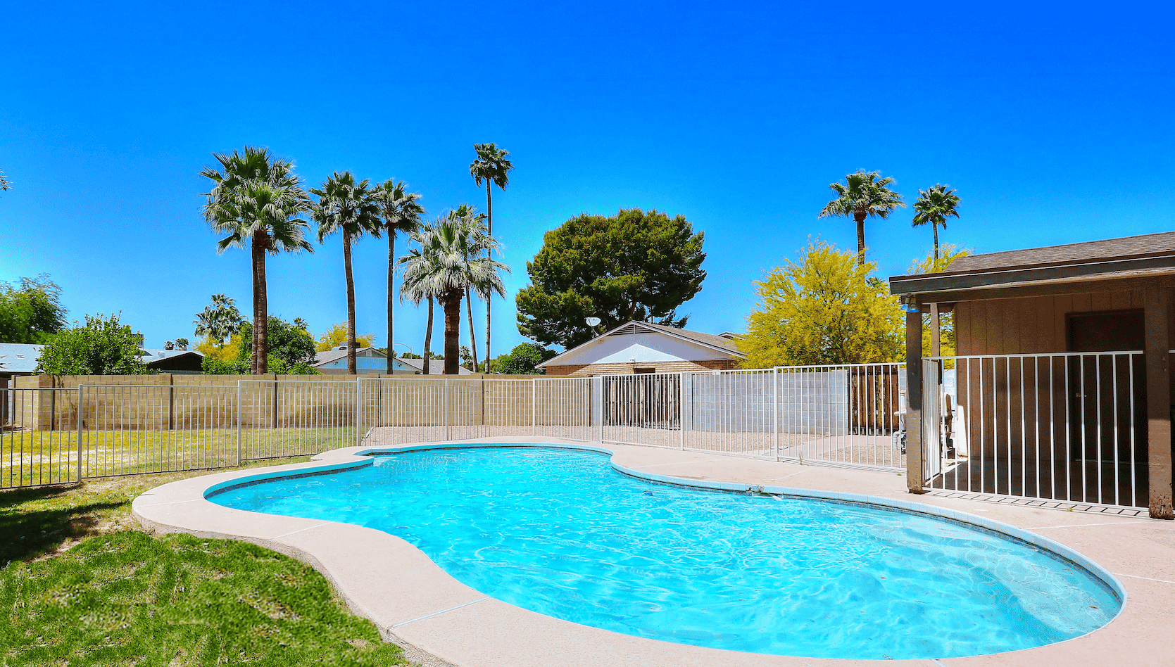 A large swimming pool in the backyard of a house with palm trees in the background.