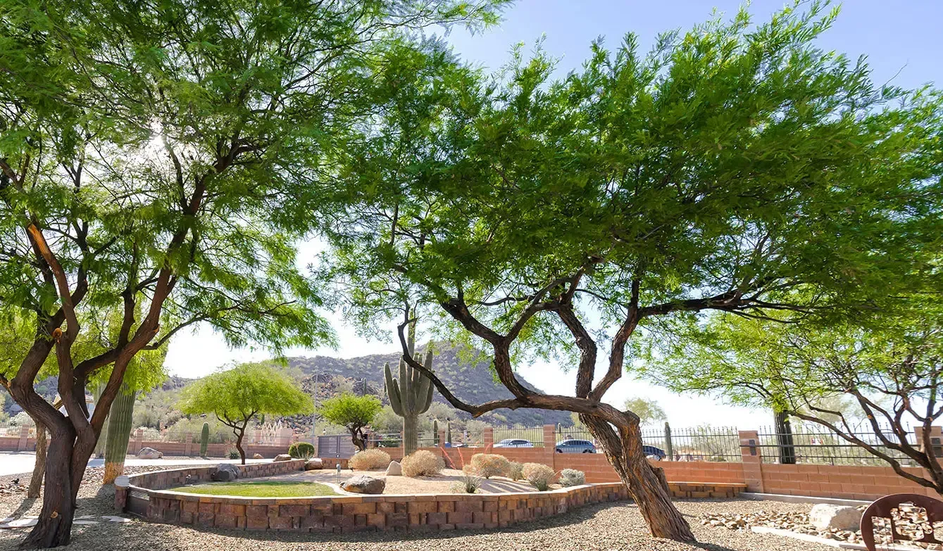 Luxury Addiction Treatment in Phoenix, Arizona - Rose Garden