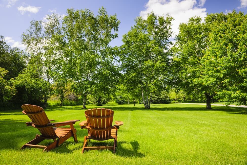 Two Wooden Chairs Are Sitting in The Middle of A Lush Green Field — Top Notch Turf in Mackay, QLD