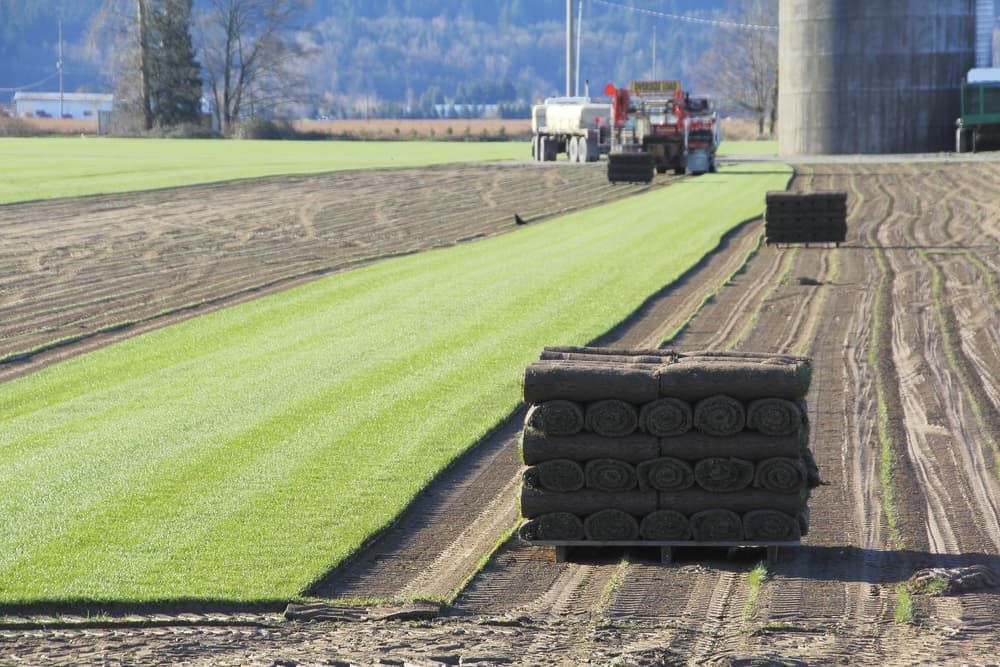 A Stack of Turf Is Sitting on The Ground in A Field — Top Notch Turf in Charters Towers, QLD