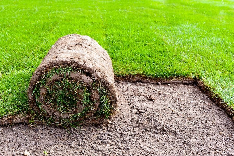 A Roll of Sod Is Sitting on Top of A Lush Green Lawn — Top Notch Turf in Richmond, QLD