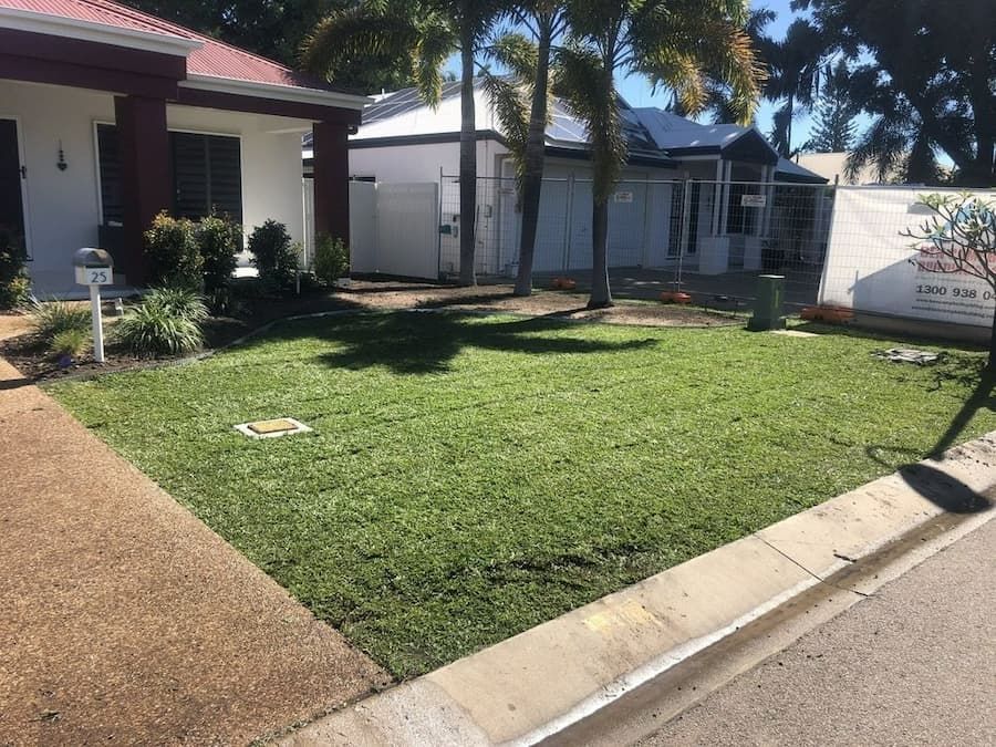 Turf Lawn — Top Notch Turf in Rasmussen, QLD