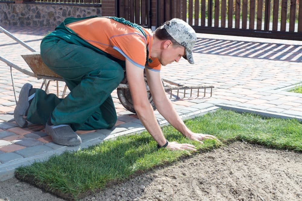 A Man Is Kneeling on The Ground Working on A Lawn — Top Notch Turf in Clermont, QLD