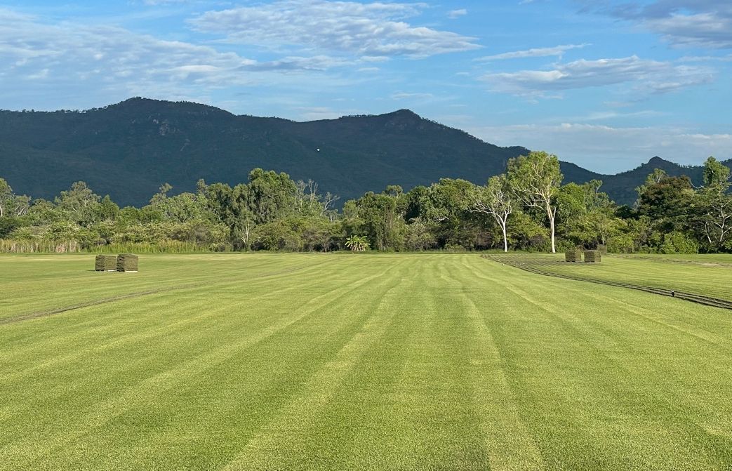 A Lush Green Field with Mountains in The Background and A Fence in The Foreground — Top Notch Turf in Rasmussen, QLD