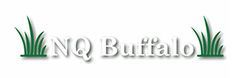 NQ buffalo logo