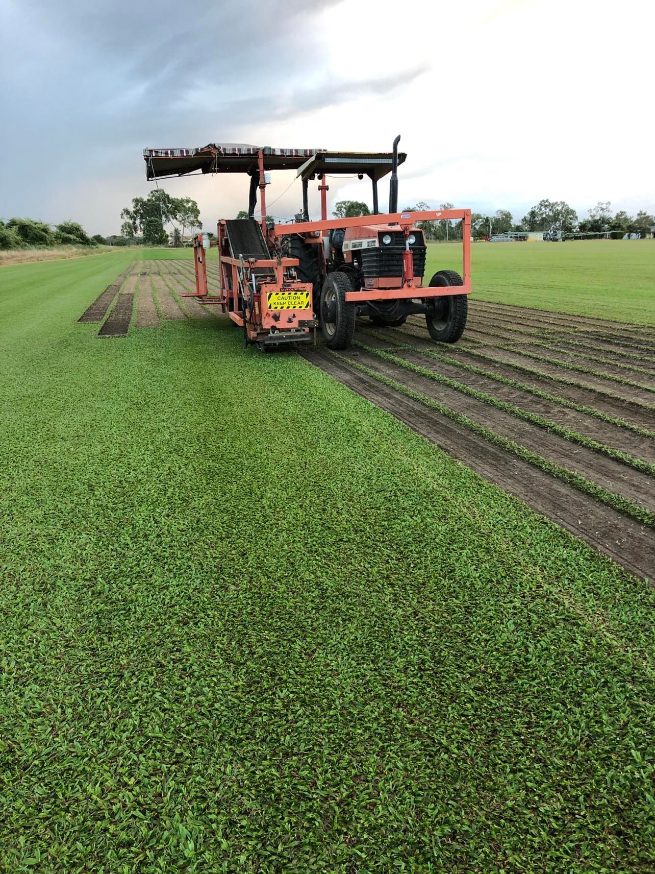 Buffalo Turf in North Queensland | Top Notch Turf