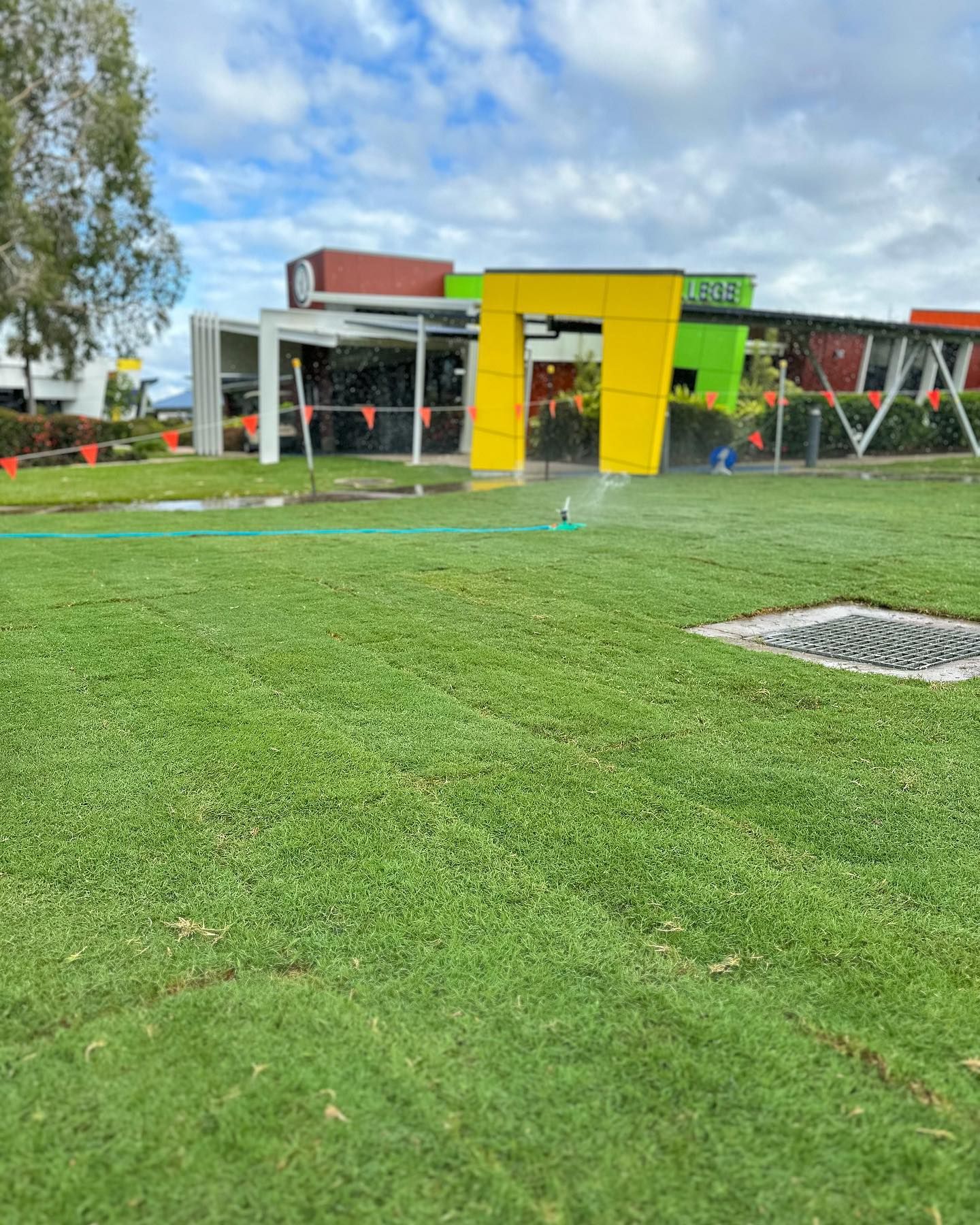 A Sprinkler Is Spraying Water on A Lush Green Lawn in Front of A Building — Top Notch Turf in Rasmussen, QLD